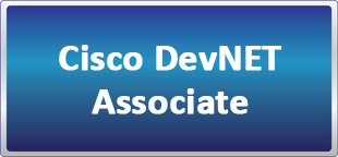 دوره حضوری آنلاین (لایو)  Cisco DevNET Associate