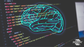 چگونه برنامه نویسی روی مغز تاثیر می گذارد: سه حقیقت بزرگ بر اساس یافته های علمی