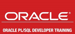 آغاز اولین دوره Develop PL/SQL Program Units سماتک از 16 دی