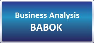 دوره آنلاین تحلیل کسب و کار بر اساس BABOK