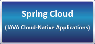دوره آنلاینSpring Cloud (JAVA Cloud-Native Applications)