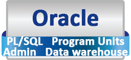 دوره های آموزشی بانک های اطلاعاتی اوراکل (Oracle PL/SQL, Oracle Admin,Program Units, Data warehouse)
